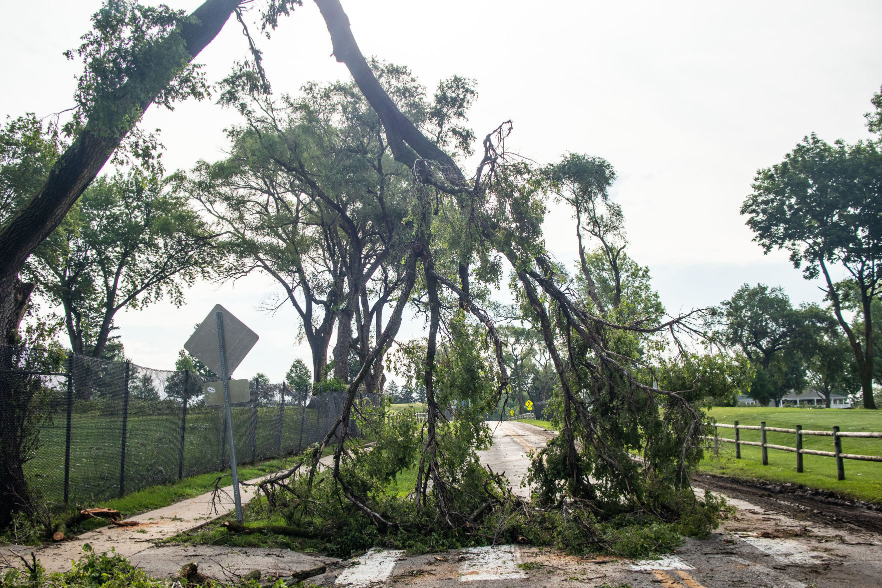 071121-owh-new-stormdamage-pic-CM011.jpg